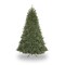CC Christmas Decor Medium Fraser Fir Artificial Christmas Tree – 7’ - Unlit